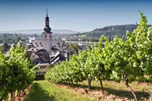 Images Dated 24th June 2014: View through vineyard over Rudesheim am Rhein