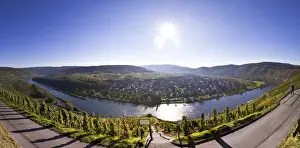 Fluvial Prints: View of the vineyards at Puenderich