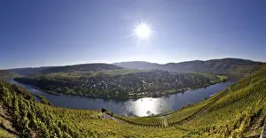 Fluvial Prints: View of the vineyards at Puenderich