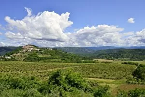 Images Dated 29th May 2014: View across vineyards to the town with atmospheric clouds, Motovun, Montona, Mirna Valley, Istria