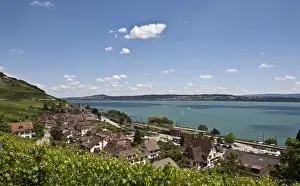 Scape Prints: View over the vineyards on Twann village