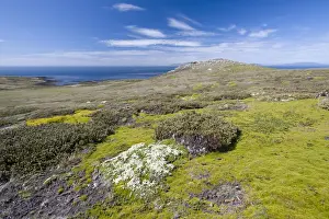 View of Westpoint Island, Westpoint Island, Falkland Islands, United Kingdom