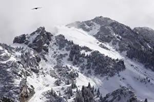 Mangfall Mountains Prints: View of Wildalpjoch saddle from Mt Wendelstein