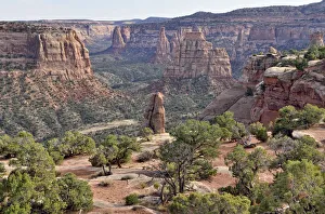 Images Dated 28th October 2011: View from the Window Rock Trail, Wedding Canyon, Colorado National Monument, Grand Junction
