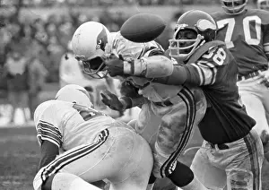 Bloomington Prints: Vikings and Cardinals in Football Action