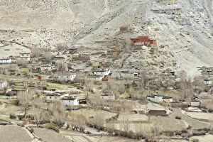 The village of Geling with the Tashi Choeling Gompa, fields at front, Gieling, Upper Mustang, Lo, Nepal