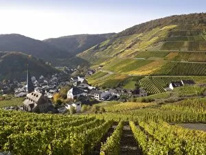Village of Mayschoss surrounded by vineyards in autumn, Mayschoss, Ahrtal, Eifel, Rhineland-Palatinate, Germany