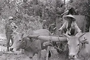Villager Prints: Villagers Loading Belongings on Ox-Cart