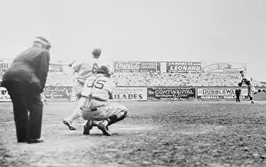 Vince DiMaggio Batting