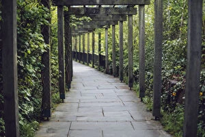 Images Dated 28th May 2013: Vine covered passage leading to the entrance of BrA┬║ na BA┬│inne, Ireland