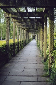 Garden Path Collection: Vine covered passage leading to the entrance of Bru na BAoinne, Ireland