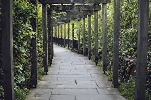Garden Path Prints: Vine covered passage leading to the entrance of Bru na BAoinne, Ireland