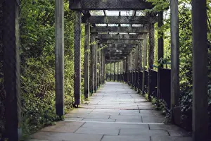 Garden Path Prints: Vine covered passage leading to the entrance of Bru na BAoinne, Ireland
