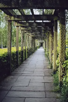 Garden Path Prints: Vine covered passage leading to the entrance of Bru na BAoinne, Ireland