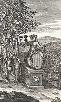 Farmer Prints: The Vineyard Engraving by Michael van der Gucht