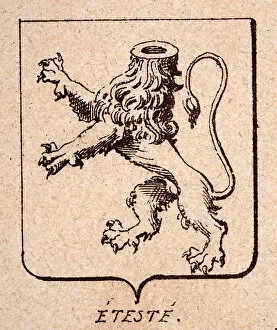 Coats of Arms and Heraldic Badges. Gallery: Vintage illustration, Escutcheon, or heraldic shield, Lions rampant decapitated, Eteste, Heraldry