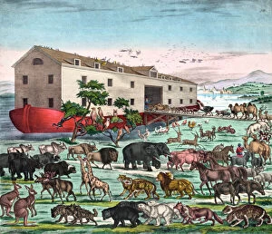 Images Dated 8th June 2010: Vintage Illustration of Noahs Ark