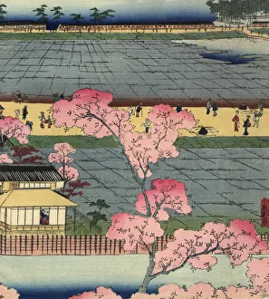 Images Dated 20th November 2009: Vintage Japanese Woodblock Circa 1800