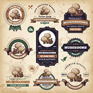 Images Dated 20th February 2018: Vintage Mushroom Labels
