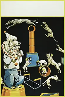 Performing Prints: Vintage poster of circus dogs doing tricks