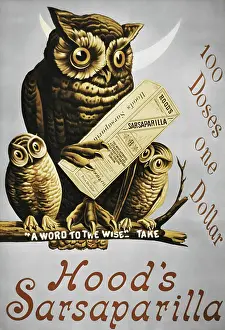 Medicinal Prints: Vintage poster of owl with two chicks on tree branch