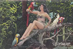 Vintage souvenir postcard, Moon Over Miami series, ca 1945