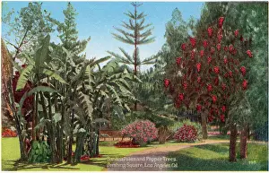 Vintage souvenir postcard, Pershing Square, Los Angeles, ca 1921