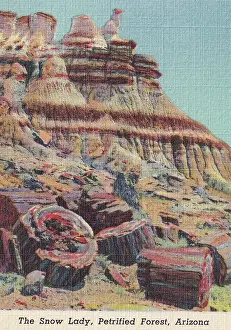 Vintage souvenir postcard, Petrified Forest National Park, Arizona, ca 1943
