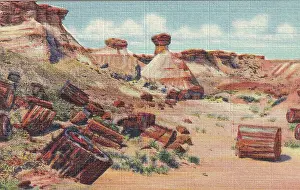 Vintage souvenir postcard, Petrified Forest National Park, Arizona, ca 1943