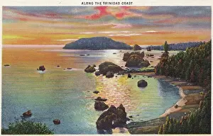 Time Captured: Vintage Art: Vintage souvenir postcard, Redwood Highway Souvenir Views series, ca 1921