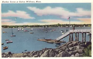 Vintage souvenir postcard, Salem Willows Park, Salem, Massachusetts, 1950