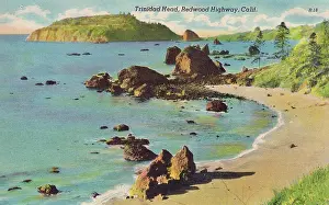 Vintage souvenir postcard, Trinidad Head, Greetings from the Redwood Highway series, ca 1942