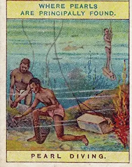 Vintage tobacco card, Pearl Diving, Sri Lanka, Products of the World series, Player's Cigarettes, 1909