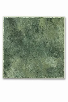 Images Dated 2nd November 2004: Vinyl floor tile