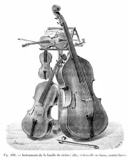 Images Dated 14th March 2017: Violin family instruments engraving 1881