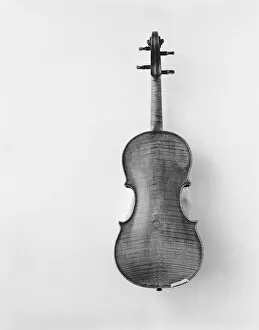 Images Dated 16th August 2011: Violin against white background, close-up