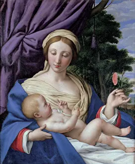 Rose Prints: The Virgin of the rose (Madonna della rosa)