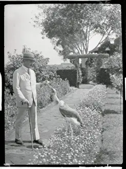 1st Viscount Allenby Prints: Viscount Allenby and Pet Stork