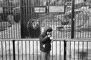 Huty29192 Prints: Visit to the Zoo