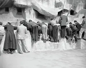 Visitors Looking at the Monkeys