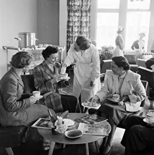 Visitor's Tea