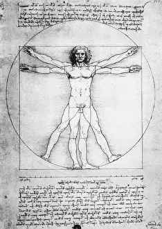 Florentine School Prints: Vitruvian Man by Leonardo da Vinci