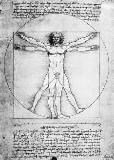 Florentine School Prints: Vitruvian Man by Leonardo da Vinci