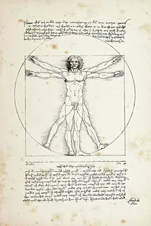 Images Dated 21st May 2012: Vitruvian man painted by Leonardo da Vinci from 1492