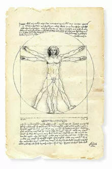 Images Dated 21st May 2012: Vitruvian man painted by Leonardo da Vinci from 1492