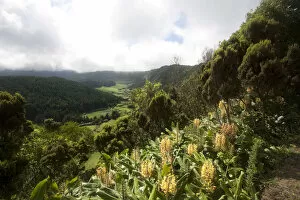 Volcanic crater of Lagoa do Fogo, Sao Miguel, Azores, Portugal