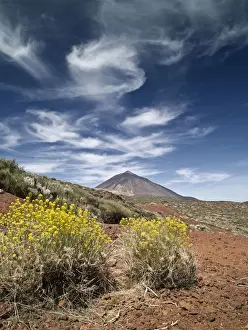 Dormant Volcano Prints: Volcano in spring