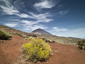 Dormant Volcano Prints: Volcano in springtime
