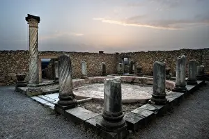 Volubilis Prints: Volubilis