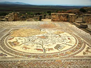 Morocco Prints: Volubilis, ehem. rAom. Garnisonsstadt